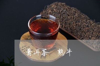 普洱茶 熟牛/2023042858102